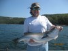 (10/13/2017) - Nice Striped Bass